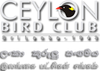 Ceylon Bird Club Ceylon Bird Club